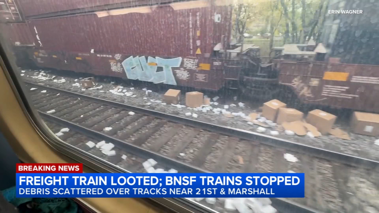 Freight train looted on West Side; BNSF services delayed, Metra says
— Elmhurst Community news