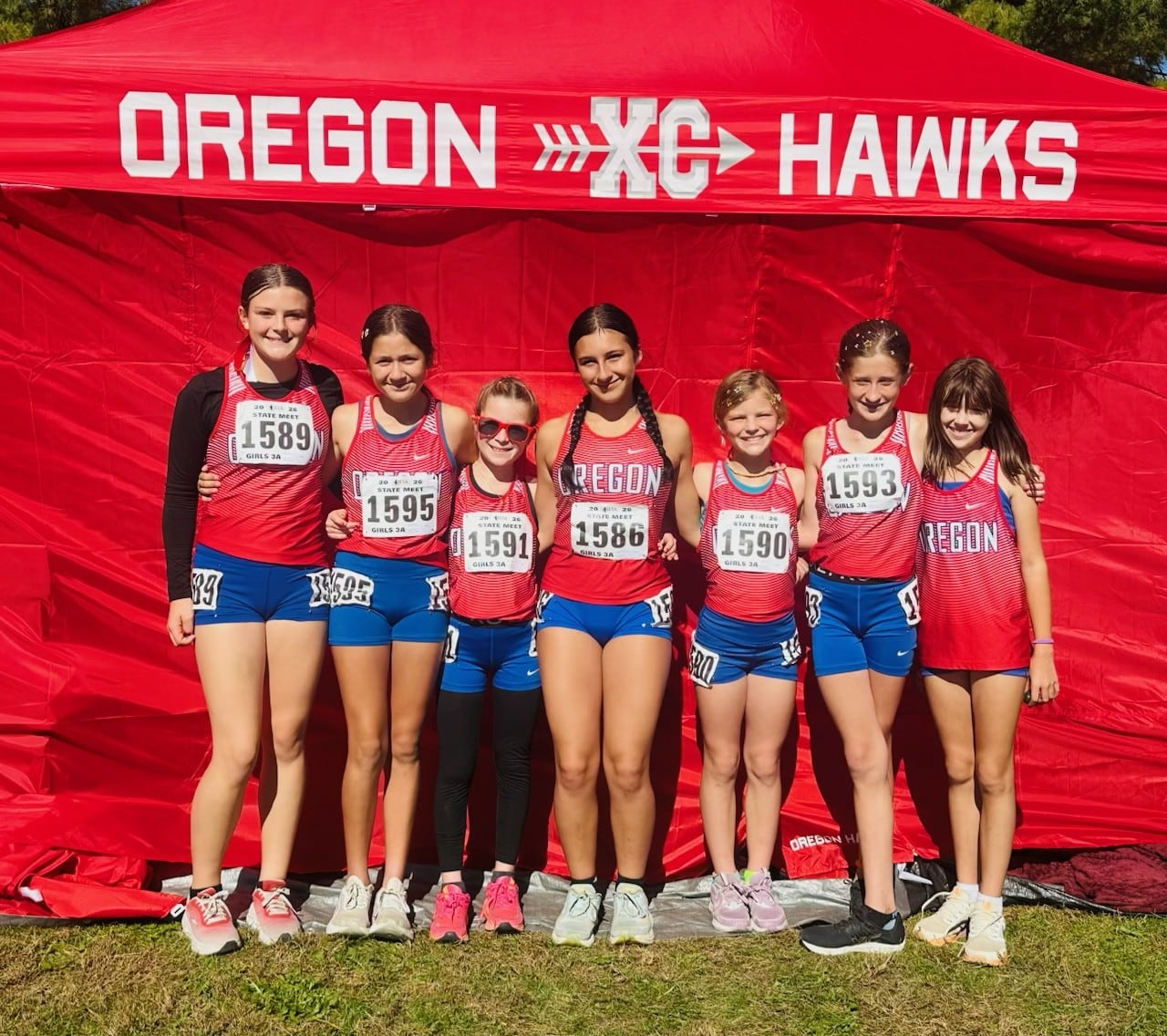 Oregon’s Anaya earns all-state honors, sets school record as Junior XC Hawks debut at state — Elmhurst Arts news